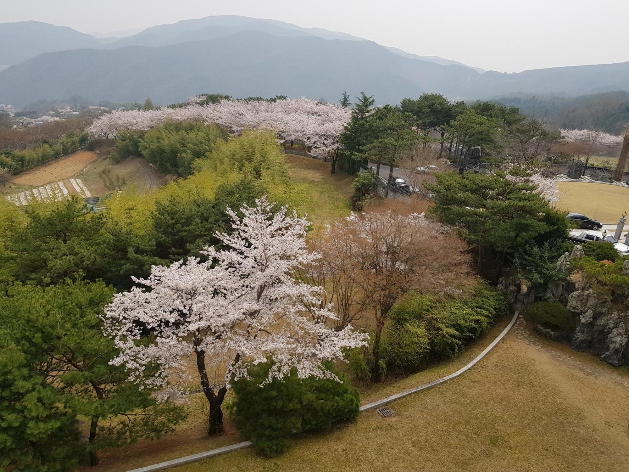 Hotel Gaya Seongju ภายนอก รูปภาพ